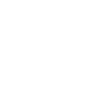 Lifestrike