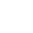 Hollow Point