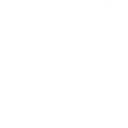 Warp Stone